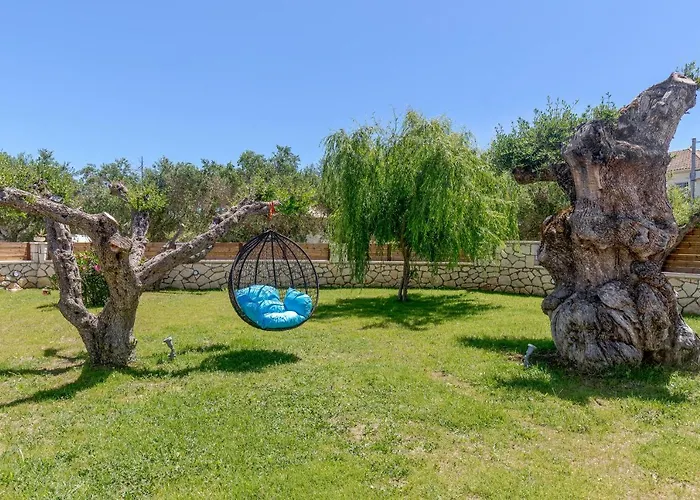 Tierra Olivo * Lithakia (Zakynthos)