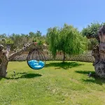 Tierra Olivo * Lithakia (Zakynthos)